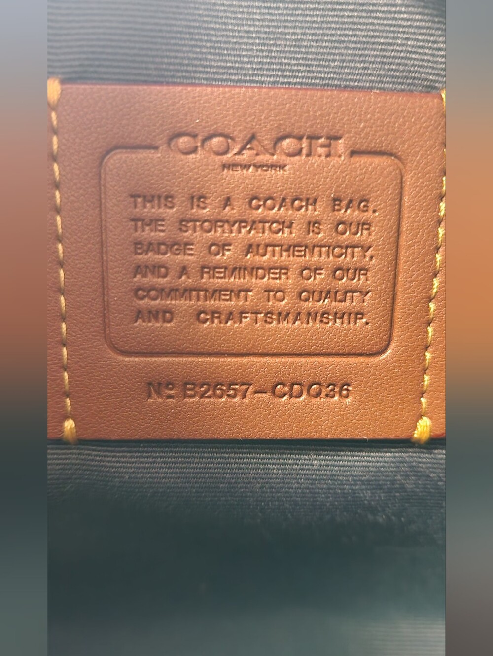 Coach Mini Rowan In Signature Denim - Picture 13 of 14